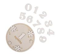 POPETPOP Wooden Monthly Discs Set with Smooth Surface and No Rough Edges, Newborn Signs Photo Prop for Home or Party, Gift for Boys