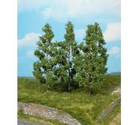 Poplar Trees (Stick In) 13cm (4)