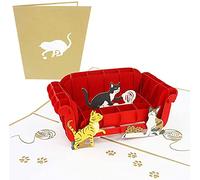 PopLife Cats Playing on Couch 3D Pop Up Card - Papercraft Greeting Card for Cat Lovers, Mother's Day, Birthday, Anniversary, Thank You, Get Well - For Kitty Parents - Envelope Included