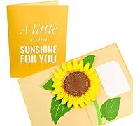 PopLife Sunflower 3D Pop Up Mother's Day Card - Happy Golden Anniversary Card, Birthday, Thank You, Just Because, Sympathy, Get Well Soon - for Mom, for Daughter, for Wife, for Grandma