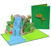 PopLife® Tropical Waterfall 3D Pop Up Card for all Occasions - Jungle Birthday Card, for Coworker, for Kids Party, for Teacher - Colorful Surprise - Folds Flat for Mailing - for Mom, for Dad, for Him