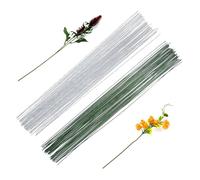 POPOYU 100P Floristry Wires 0.5mm Paper Covered Wire,40CM FloristWire Stems for Flower Arranging Accessories,CraftWire Bouquet Wires for Garland Wreath Making,Flower Arranging Supplies(Green+White)