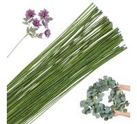 POPOYU 100Pcs Floristry Wires 0.5mm Paper Covered Wire,40CM FloristWire Stems for Flower Arranging Accessories,CraftWire Bouquet Wires for Garland Wreath Making,Flower Arranging Supplies(Light green)
