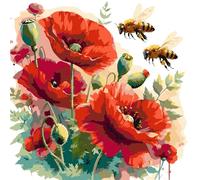Poppies and Bees DIY Paint By Numbers Kit on Canvas 35x35cm with Frame Oil Painting Kit by Numbers for Beginners Adults Gift Home Wall Decor