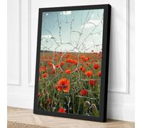Poppies Behind Glass Canvas Wall Art Print 30x20 Inch