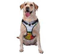 Poppies Field Yellow Brick Road Printed quick release dog harness reflective pet vest with 2 quick release buckles 4 sizes XL ideal for outdoor walks and hikes