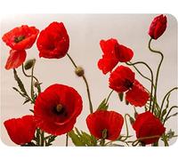 Poppies - Glass Worktop Saver/Protector - by Pearl Glass (Style 3, 40 x 30cm Medium)