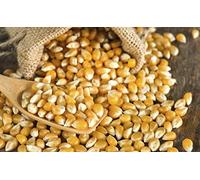 Popping Corn 500g - Popcorn Kernels for Popcorn Machine Maker or Oil Pan Popped - Add Your Flavouring / Seasoning - Perfect Cinema Style Movie Night Homemade Pop Corn - PURIMA - 500g Bulk Packaging