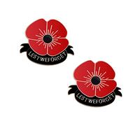 Poppy Brooch Pins, 2Pcs Remembrance Day Gift - Red Flower Badges Lapel Pin