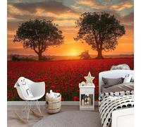 Poppy Flower Photo Wallpaper - 150 x 105 cm Wall Mural for Bedroom & Kids Room - British Countryside Home Decor Poster by Professional Designer Make Photo Mural