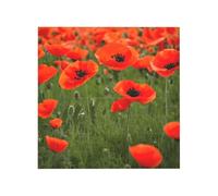 Poppy Flowers Petals Print Building Brick Block Puzzle Square Creative Building Blocks Jigsaw Home Desk Decor