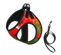 Poppy Flowers Vivid Petals Print Pet Leash Vest Reflective Adjustable Soft Mesh Vest Breathable For Daily Walks