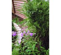 Poppy Forge 15 x 34 Inches Border Support (Pack of 4) - Steel - Green Poppy Forge Green