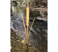 Poppy Forge Bullrush Small Garden Art (Pack Of 3) - Steel - H30.5 Cm - Bare Metal/ready To Rust