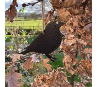 Poppy Forge Hanging Finch Garden Art (Pack Of 3) - W20 X H13 Cm - Black