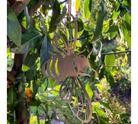 Poppy Forge Hanging Folded Wings Bee Garden Art - W15 X H10 Cm - Black