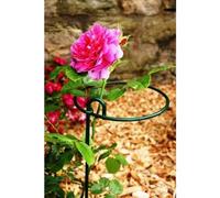 Poppy Forge Large Bunch Support Rust (Pack Of 4) - Steel - L30.5 X W30.5 X H86 Cm - Bare Metal/ready To Rust