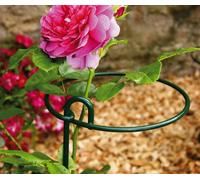 Poppy Forge Medium Bunch Support (Pack Of 4) - Steel - L23 X W22.9 X H86 Cm - Green