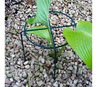 Poppy Forge Medium Simple Ring Plant Supports (Pack Of 4) - Bare Metal/ready To Rust - W41 X H51 Cm