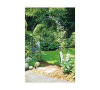 Poppy Forge Oregon Arch Hardstanding Garden Archway - Solid Steel - L53 X W152 X H239 Cm - Black