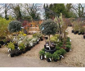 Poppy Forge Round Tunnel Arch (Including Ground Spikes) Steel Garden Moon Gate Archway - Steel - L66 X W229 X H234 Cm - Antique Black