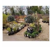 Poppy Forge Round Tunnel (Including Ground Spikes) BM/RtR - Steel in Black Poppy Forge Black