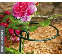 Poppy Forge Small Bunch Support (Pack Of 4) - Steel - L15.2 X W15.2 X H86.4 Cm - Green