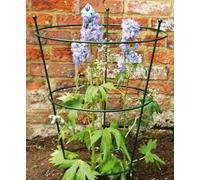 Poppy Forge Small Peony Support (Pack Of 2) - Steel - L40.6 X W40.6 X H63.5 Cm - Bare Metal/ready To Rust