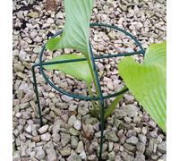 Poppy Forge Small Simple Ring (Pack Of 4) - Steel - L20.3 X W20.3 X H30.4 Cm - Green