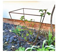 Poppy Forge Square Peony Plant Support (Pack Of 2) - Steel - Bare Metal/ready To Rust
