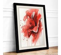 Poppy in Watercolour Botanical Framed Wall Art Print A4 (29.7×21cm) Black, Wall Decor for Living Room, Bedroom, Office & Home, Ready to Hang, Art Gift