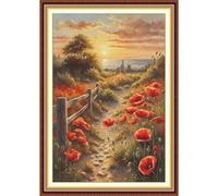Poppy Road Printed Cross Stitch Kit 40x60cm DIY 11CT Embroidery Craft Home Decor