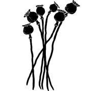 'Poppy Seed Heads' Rubber Stamp - Unmounted Design for Crafting & Scrapbooking, A8 (RS00036975)
