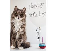 Pops & Coco Happy Birthday Fluffy Cat Birthday Card - Cute - Greeting Card - Pet - Animals
