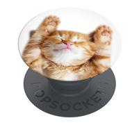 PopSockets PopGrip Extendable Holder and Grip for Smartphones and Tablets Finger Holder Basic Snoozy Cat