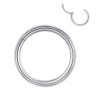 Popuhoops 16g 11mm Hinged Hoop Nose Ring Silver Septum Ring 316L Surgical Steel Hoop 16 Gauge Cartilage Earring Nose Piercing Body Jewelry Helix Daith Tragus Earrings Septum Jewelry Clicker Lip Rings