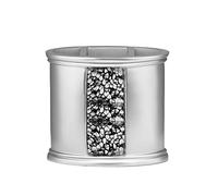 Popular Bath Silver Sinatra, Tooth Brush Holder