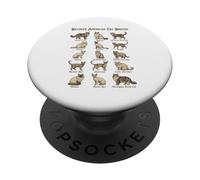 Popular Cat Breeds Chart for Animal Lover Cat Moms Cat Dads PopSockets Adhesive PopGrip
