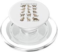 Popular Cat Breeds Chart for Animal Lover Cat Moms Cat Dads PopSockets PopGrip for MagSafe
