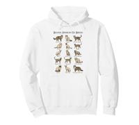 Popular Cat Breeds Chart for Animal Lover Cat Moms Cat Dads Pullover Hoodie