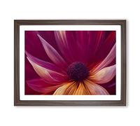 Popular Flower Framed Wall Art Print A2 Walnut