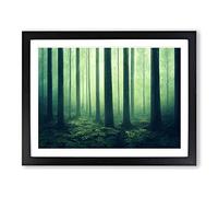 Popular Forest Framed Wall Art Print A2 Black