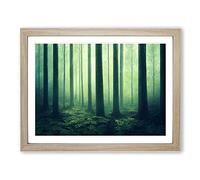 Popular Forest Framed Wall Art Print A2 Oak