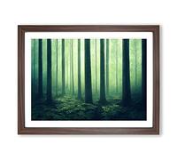 Popular Forest Framed Wall Art Print A2 Walnut