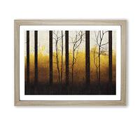 Popular Spring Forest Framed Wall Art Print A2 Oak