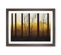 Popular Spring Forest Framed Wall Art Print A2 Walnut