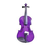 Popular Violin Solid Wood Violin Beginner Practice Adult Playing Violin 4/4 Full Size Violin Instrument (Color : Purple)