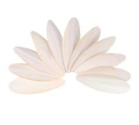 Popuppe 11pcs Cuttlefish Bone,8-10cm Cuttlebone Chewing Toys for Parrots Birds Reptiles Tortoises Snails