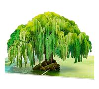 POPWOW Willow Tree Pop Up Card, Ancient Tree, 3D Greeting Cards, Gift For Birthday, Mothers Day, Anniversary, Thinking Of You, Mother, Mom, Grandma, 5x7 - Includes Envelope And Message Note