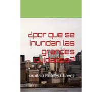 ¿por que nos inundamos las grandes ciudades?